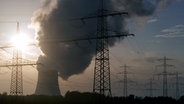 Die Sonne scheint durch einen der vielen Strommasten im Umfeld des Atomkraftwerks Lingen (Emsland). © picture-alliance/dpa Foto: Bernd Thissen