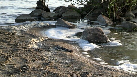 Schaum auf dem Wasser im Dümmer See.  