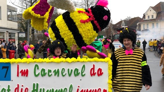Als Hummeln verkleidete Teilnehmer des Fastnachtsumzugs des Dammer Carnevals laufen vor einer großen selbstgebastelten Hummel. © NDR Foto: Daniel Sprehe