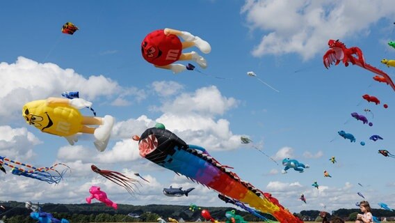 bunte Drachen am Himmel beim Drachenfest in Melle 2023 © dpa Bildfunk Foto: Friso Gentsch