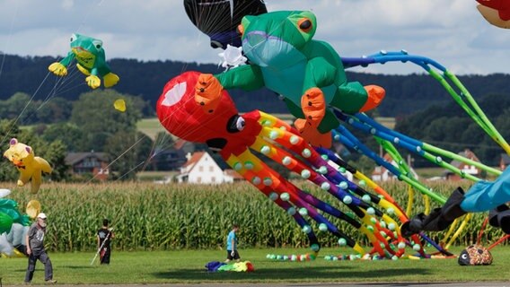 große Drachen unter anderem in Form von Fröschen und eines Oktopusses beim Drachenfest in Melle 2023 © picture alliance/dpa | Friso Gentsch Foto: Friso Gentsch