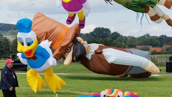 große Drachen in Form von Pettersson und Findus, Donald Duck und Daisy beim Drachenfest in Melle 2023 © dpa Bildfunk Foto: Friso Gentsch