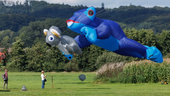 zwei große Drachen in Form eines Koalabären und eines blauen Frosches beim Drachenfest in Melle 2023 © dpa Bildfunk Foto: Friso Gentsch
