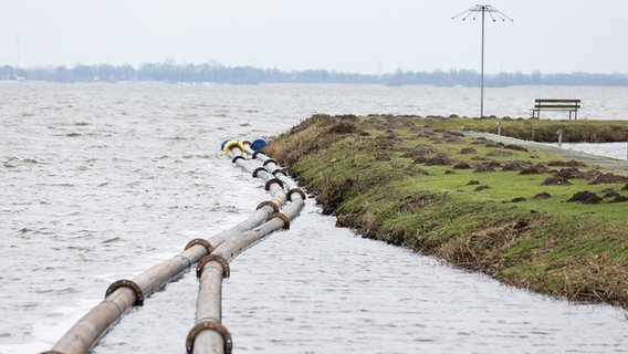 Rohre liegen auf der Oberfläche des Dümmers. (Im Zuge der Dümmersanierung sollten dem See insgesamt rund 30.000 Kubikmeter Schlamm entnommen und über eine Rohrleitung auf ein Spülfeld transportiert werden.) © picture alliance / Friso Gentsch/dpa | Friso Gentsch Foto: Friso Gentsch