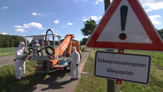 Auf einem Straßenschild steht "Eichenprozessionsspinner - Allergiegefahr". © NDR 