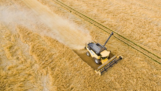 Ein Landwirt erntet mit einem Mähdrescher ein Gerstenfeld bei Sehnde in der Region Hannover. © picture alliance/dpa/Julian Stratenschulte Foto: Julian Stratenschulte