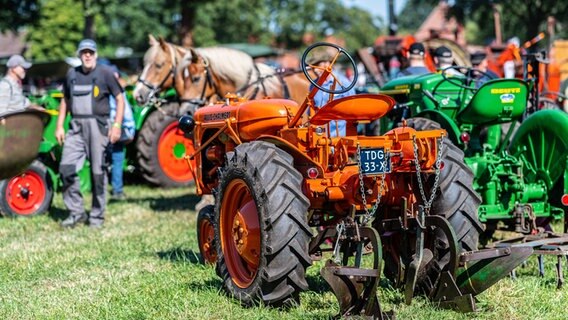 Historische Landmaschinen sind beim Historischen Feldtag in Nordhorn zu sehen. © dpa Foto: Guido Kirchner