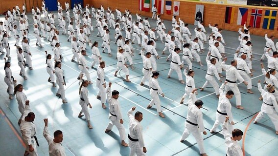 Zahlreiche Karateka trainieren in einer Halle. © Gasshuku e.V. 
