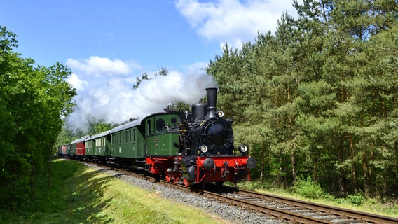 Eine historische Eisenbahn mit Dampflok fährt bei Haselünne fährt durch den Wald. © Hasetal Touristik GmbH 