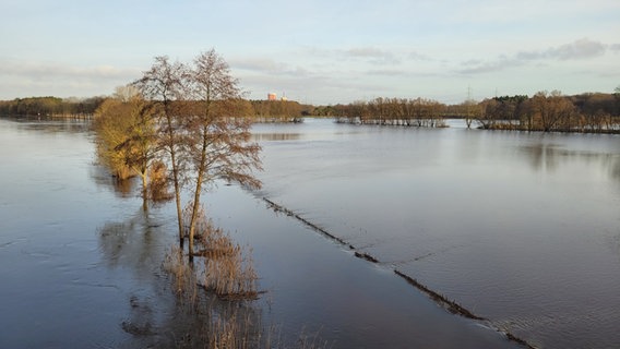 Die Ems bei Meppen mit Hochwasser. © NDR Foto: Britta Nareyka