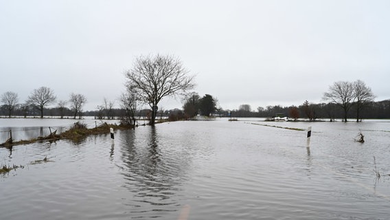 Blick auf das Hochwassergebiet in Lathen. © dpa Foto: Lars Penning