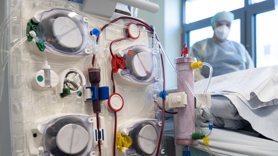 Ein Krankenpfleger steht am Bett eines Intensivpatienten hinter einem Dialysegerät. © picture alliance Foto: Friso Gentsch