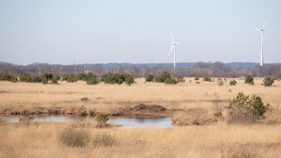 Blick auf eine Moorfläche mit Windkraftanlagen dahinter. © Friso Gentsch/dpa Foto: Friso Gentsch