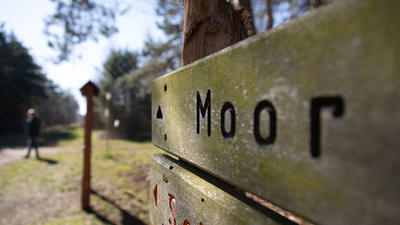 Auf einem hölzernen Schild steht "Moor". © dpa-Bildfunk Foto: Friso Gentsch