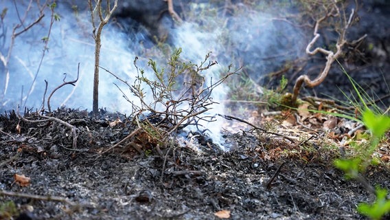 In einem Moor im Landkreis Dioiepholz schwelt ein Feuer © Nord-West-Media TV 