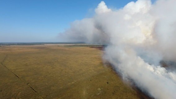 Eine Luftaufnahme zeigt eine große Rauchwolke über einem Moor.  