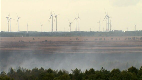 Qualm steigt von einem Moor auf. © NDR 