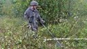 Ein Soldat mit einem Metalldetektor im Geäst (an einer Birke). © Bundeswehr 