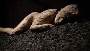 Ein Abguss zeigt ein Opfer des Vulkanausbruch von Pompeji. © dpa Foto: Friso Gentsch