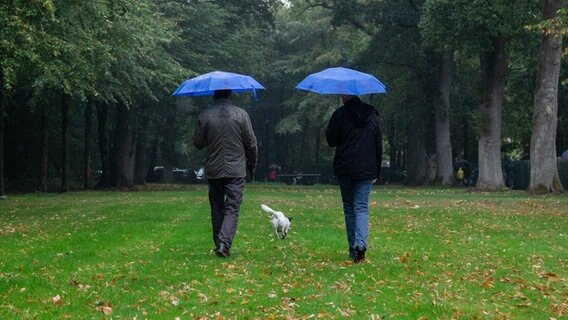 Niedersachsen, Sögel: Eine Frau und ein Mann mit blauen Schirmen in den Händen machen bei regnerischem Wetter einen Spaziergang mit ihrem Hund in einem Park. © dpa-Bildfunk Foto: Mohssen Assanimoghaddam/dpa