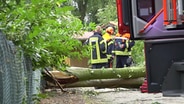 Feuerwehrleute stehen an einem ungeknickten Baum in Rhede, der eine Frau tödlich verletzt hat. © TV7News 