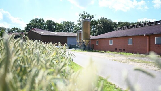 Ein Hof in Emsbüren, auf dem die Afrikanische Schweinepest (ASP) nachgewiesen wurde. © dpa Bildfunk Foto: Lars Klemmer