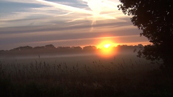 Die Sonne geht hinter einem Feld auf. © Nord-West-Media TV 