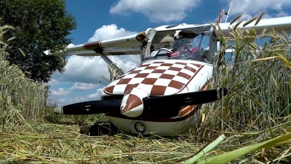 Ein notgelandetes Sportflugzeug in einem Getreidefeld. © Nord-West-Media TV 