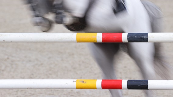 Hagen A.T.W.: Pferdesport: Springen, CSI3*. Das Pferd eines Springreiters ist hinter einem Sprung zu sehen. © dpa-Bildfunk Foto: Friso Gentsch