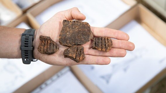 Blick auf Bruchstücke einer verzierten Keramik, die zwischen 3500-3000 v. Chr. (Jungsteinzeit) gefertigt worden sind und in der etwa 5000 Jahre alten Moorsiedlung Hunte 1 gefunden wurden. © dpa-Bildfunk Foto: Friso Gentsch/dpa