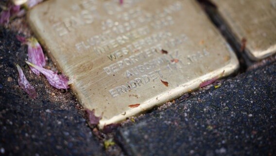 Ein Stolperstein erinnert auf einer Straße an Opfer des Nationalsozialismus. © picture alliance/dpa Foto: Friso Gentsch