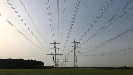 Strommasten bei Emsbüren. © NDR Foto: Hedwig Ahrens