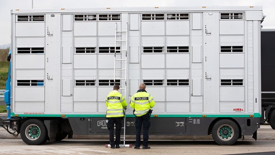Polizeibeamte stehen mit einer Leiter neben einem Tiertransporter bei einer Kontrolle auf der A33. © dpa-Bildfunk Foto:  Friso Gentsch