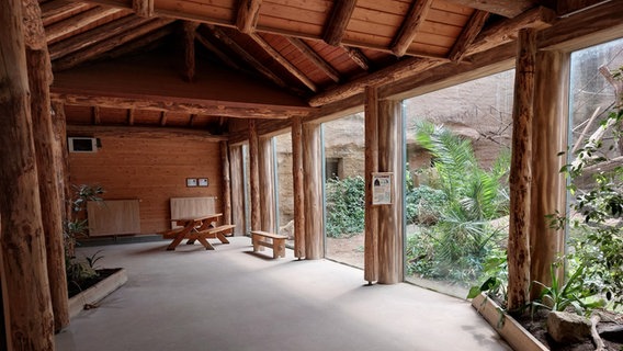 Ein Trauzimmer im Affenhaus im Zoo Osnabrück. Ein Trauzimmer im Affenhaus im Zoo Osnabrück. © Zoo Osnabrück