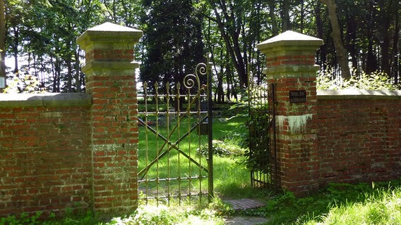 Ein Tor in einem Mauerwerk in einem Waldstück bei Meppen. © NDR Foto: Hedwig Ahrens