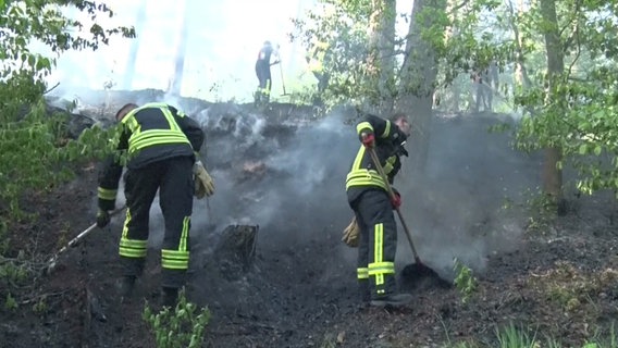 Rauch und Löscharbeiten bei einem Waldbrand bei Fürstenau (Landkreis Osnabrück). © Nord-West-Media TV 