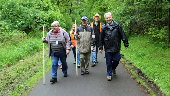 Menschen mit Spazierstöcken gehen einen Weg im Wald entlang. © NDR Foto: Claus Halstrup