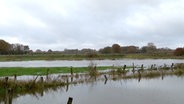 Durch die Ems überschwemmte Wiesen. © Nord-West-Media TV 