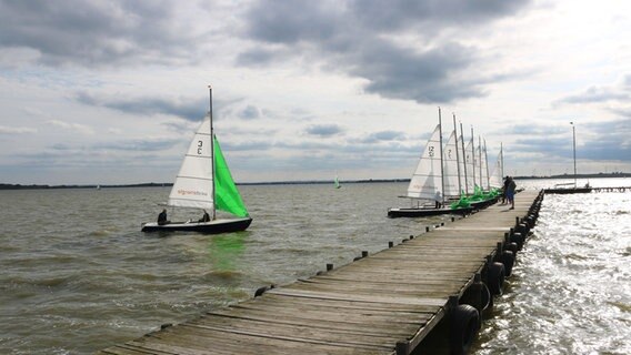 Segelboote stehen an einem Steg am Dümmer See. © NDR Foto: Elke Strauch N