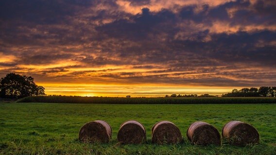 Sonnenuntergang im Rheiderland bei Halte © NDR Foto: Heiner Lohmann