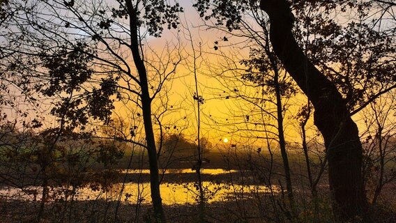 Sonne am Morgen in der Diepholzer Moorniederung. © NDR Foto: Petra Quade