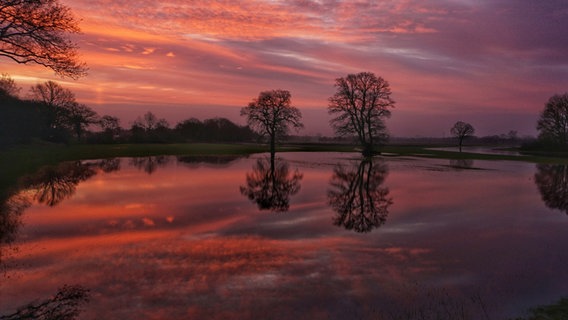 Sonnenaufgang über der überfluteten Vechte in Emlichheim © NDR Foto: Jens Ballmann