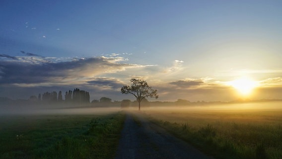 Morgensonne und Nebel auf einem Weg in Emlichheim. © NDR Foto: Jens Ballmann