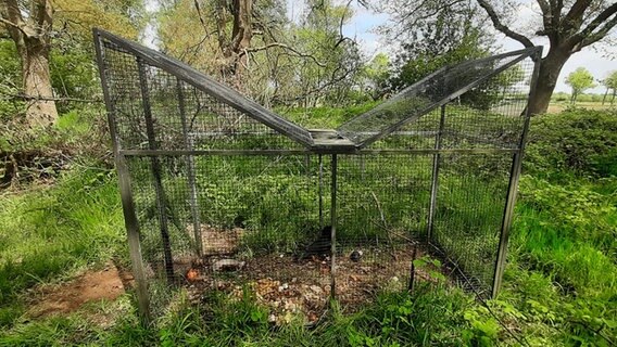 Eine Vogelfalle steht auf einer Wiese. © Komitee gegen den Vogelmord e.V. 