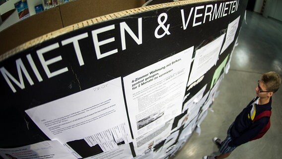 Ein Student steht vor einem schwarzen Brett mit Wohnungsanzeigen. © dpa Foto: Matthias Balk