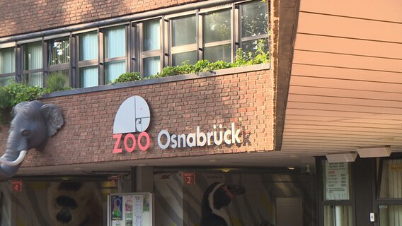 An einem Gebäude steht Zoo Osnabrück. © NDR 