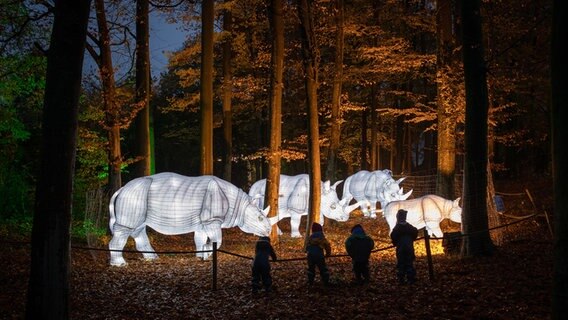 Leuchtende Rhinozerosfiguren stehen im Zoo Osnabrück. © dpa-Bildfunk Foto: Friso Gentsch