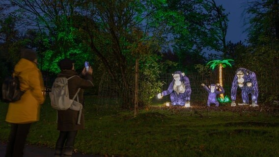 Leuchtende Affenfiguren stehen im Zoo Osnabrück. © dpa-Bildfunk Foto: Friso Gentsch