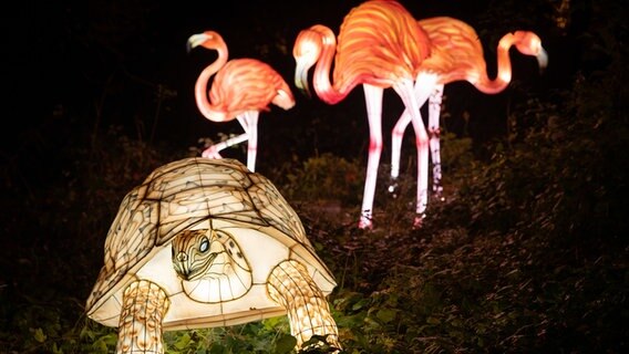 Leuchtende Schildkröten- und Flamingofiguren stehen im Zoo Osnabrück. © dpa-Bildfunk Foto: Friso Gentsch