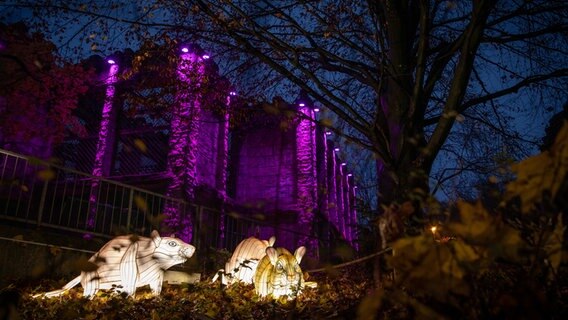 Leuchtende Rattenfiguren stehen im Zoo Osnabrück. © dpa-Bildfunk Foto: Friso Gentsch